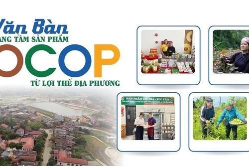 Văn Bàn nâng tầm sản phẩm OCOP từ lợi thế địa phương