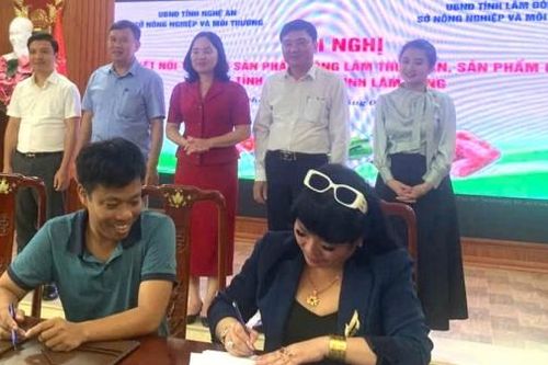 Tiêu thụ hơn 2 tấn bơ 034 trong ngày đầu ký kết hợp đồng