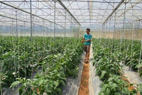 Đổi thay trên vùng đất mới
