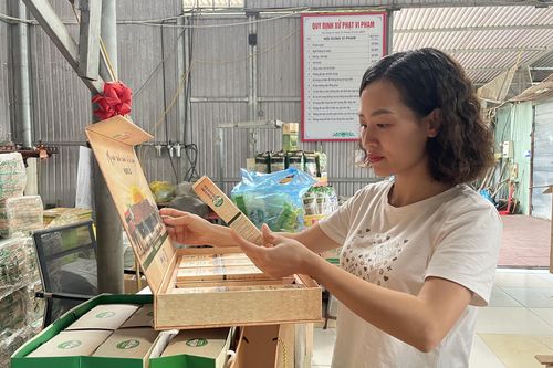 Nâng cao nhận thức về sở hữu trí tuệ