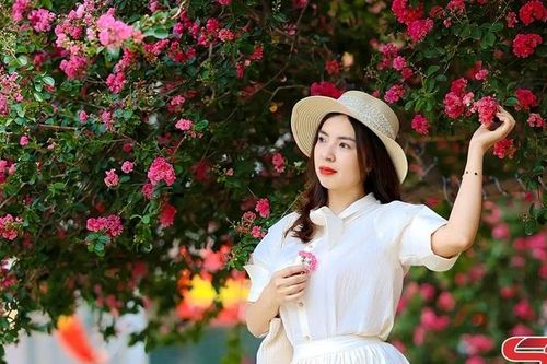 Rực rỡ mùa hoa tường vi