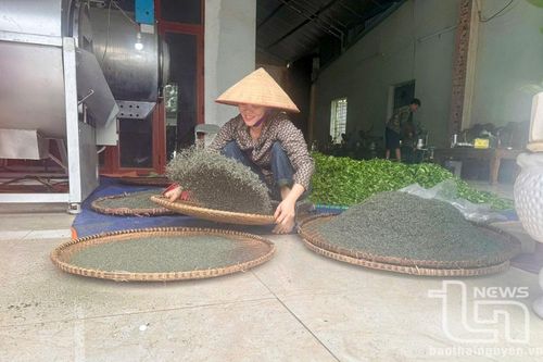 Nhận diện những thủ đoạn lợi dụng thương hiệu 'chè Thái Nguyên' để lừa đảo - Kỳ 2: Bảo vệ danh tiếng, thương hiệu chè