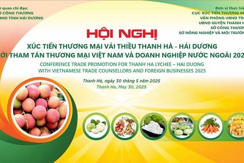 Hải Dương sẵn sàng cho sự kiện 'Hải Dương mùa vải chín' và Hội nghị xúc tiến tiêu thụ vải thiều Thanh Hà năm 2025