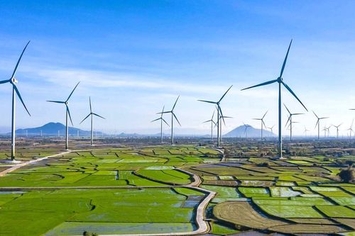 Tập đoàn PC1: Nâng công suất năng lượng tái tạo lên trên 800 MW, đẩy mạnh chế biến sâu khoáng sản