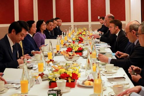 Pháp cam kết đồng hành cùng Việt Nam thúc đẩy chuyển đổi năng lượng