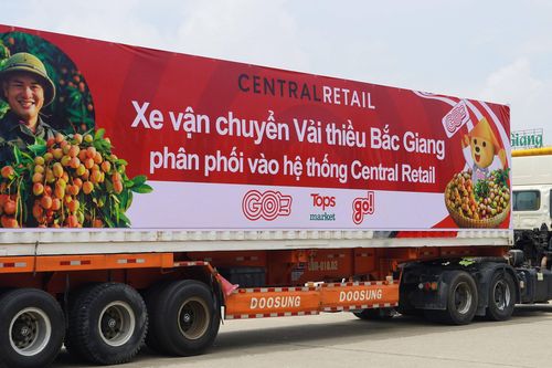 Central Retail sẽ tiêu thụ khoảng 1.000 tấn vải thiều Lục Ngạn (Bắc Giang) mùa vụ năm 2025