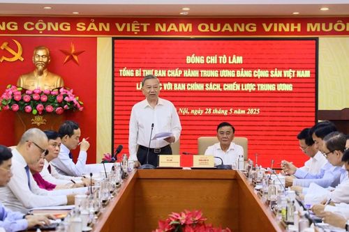 Tổng Bí thư Tô Lâm làm việc với Ban Chính sách, chiến lược Trung ương về cơ chế, chính sách quản lý hiệu quả thị trường vàng