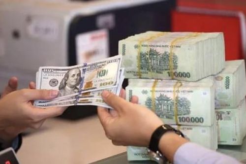 Đại lý thu đổi ngoại tệ chỉ được mua ngoại tệ và bán lại cho ngân hàng ủy quyền