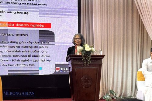 Bà Phạm Minh Hương: Sự cố tin tặc tấn công là cơ hội may mắn của VNDirect