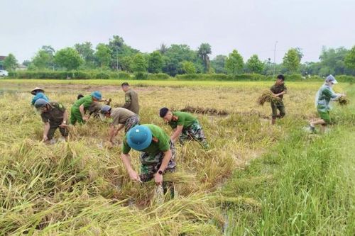 Không khí lạnh 'đổ bộ' giữa mùa hè có bất thường?