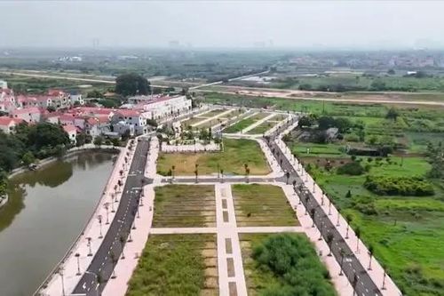 Đất đấu giá bỏ hoang do đầu cơ, gây lãng phí