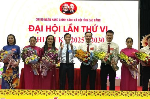 Đại hội Chi bộ Ngân hàng Chính sách xã hội tỉnh lần thứ VI, nhiệm kỳ 2025 - 2030