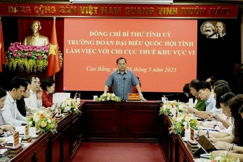 Bí thư Tỉnh ủy Quản Minh Cường làm việc với Chi cục Thuế khu vực VI