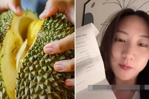 Du khách phải trả 4 triệu tiền phí vệ sinh vì đem sầu riêng vào phòng khách sạn