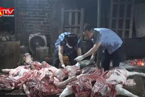 Phát hiện gần 3 tấn thịt lợn nhiễm dịch tả châu Phi tại cơ sở giết mổ