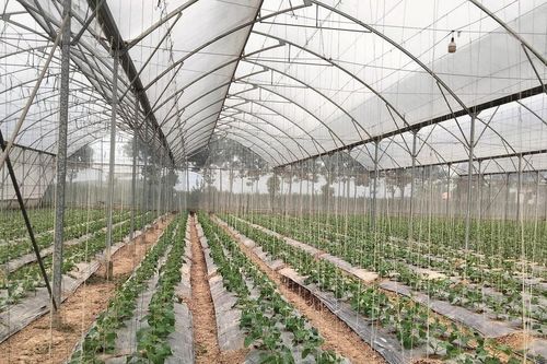 Đổi mới sáng tạo đưa doanh nghiệp Việt bứt phá