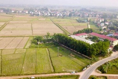 Sắp đấu giá hơn 25.000m2 đất công ích tại huyện Phúc Thọ
