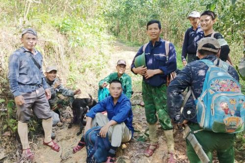 Sau 13 ngày tìm kiếm vẫn chưa thấy người đàn ông mất tích khi đi tìm mật ong