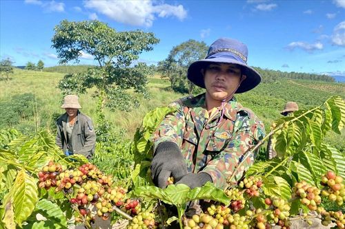 Những kết quả nổi bật từ Cuộc vận động 'Làm thay đổi nếp nghĩ, cách làm' ở Đăk Tô