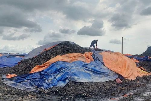 Đổ hàng tấn chất thải rắn gây ô nhiễm môi trường ở Đồng Tháp