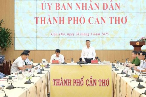 Cần Thơ tăng cường kiểm tra, xử lý vi phạm trong lĩnh vực thương mại và an toàn thực phẩm