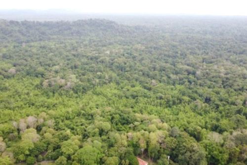 144 hộ kinh doanh ký cam kết không sử dụng động vật hoang dã trái phép