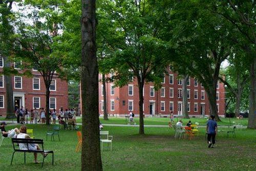 Tổng thống Donald Trump: Harvard nên giới hạn sinh viên nước ngoài ở mức 15%