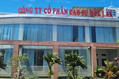 Truy nã con trai cựu Chủ tịch Công ty Cổ phần Cao su Đắk Lắk