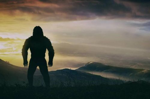 Giải mã lông nghi của quái thú Bigfoot... sững sờ kết quả