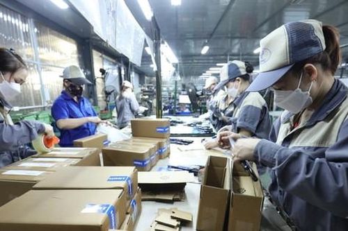 Nói thủ tục khó dễ, nhưng hỏi thật: Doanh nghiệp Việt đã 'chín' hay chưa?