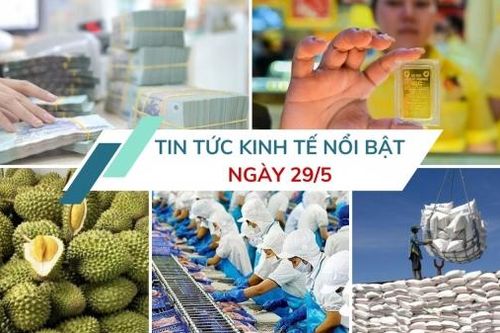 Tin tức kinh tế ngày 29/5: Ưu tiên thông quan nông lâm thủy sản và sầu riêng