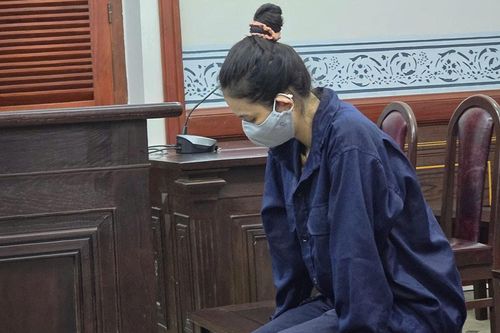 Vẽ doanh nhân thành đạt 'ảo', lừa tiền tỷ của vợ chồng bạn lâu năm
