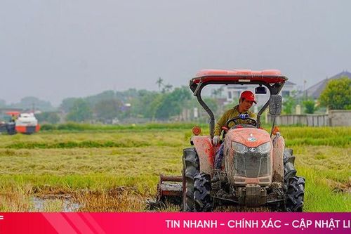 Vụ hè thu 2025: Ưu tiên giống ngắn ngày, hạn chế rủi ro do thiên tai
