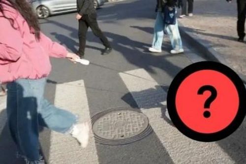 Nuôi loài chó 'không cần ăn uống', kiếm tiền triệu/ngày