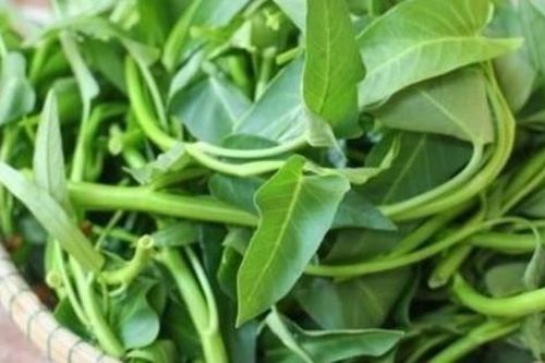 '5 không' khi ăn rau muống, biết mà tránh kẻo rước họa