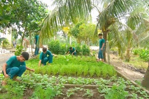 Hiệu quả phong trào thi đua 'Ngành hậu cần quân đội làm theo lời Bác Hồ dạy'