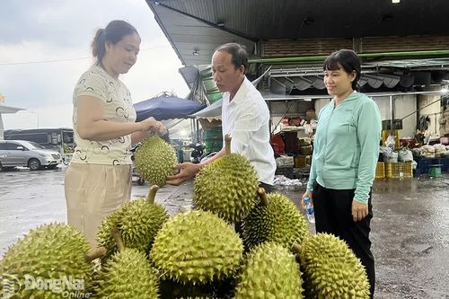Tăng kết nối, quảng bá nông sản Việt