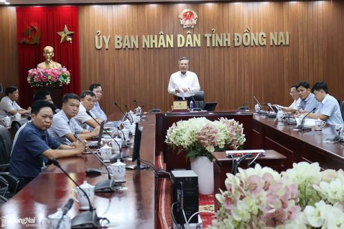 Đồng Nai có 5 công trình, dự án trọng điểm quốc gia ngành năng lượng đang thi công