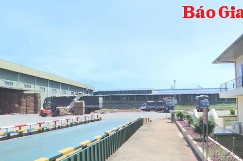 Doanh nghiệp xuất khẩu nông sản tích cực tìm kiếm thị trường mới