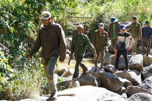 Lâm Hà nỗ lực phát triển lâm nghiệp bền vững