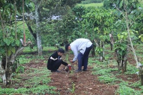 Bảo Lộc: Bàn giao cọc giải phóng mặt bằng dự án cao tốc Bảo Lộc - Liên Khương