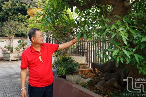 Gieo đam mê, gặt thành công