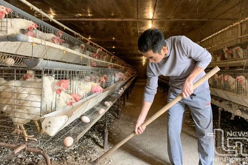 Ứng dụng giải pháp vi sinh xử lý môi trường nông nghiệp