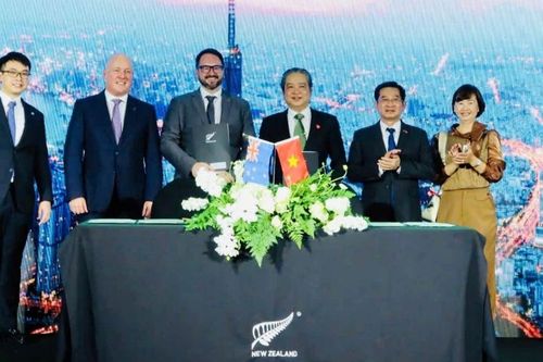 Sữa Quốc tế LOF (IDP) hợp tác với 'ông lớn' New Zealand sản xuất sữa chuẩn châu Âu