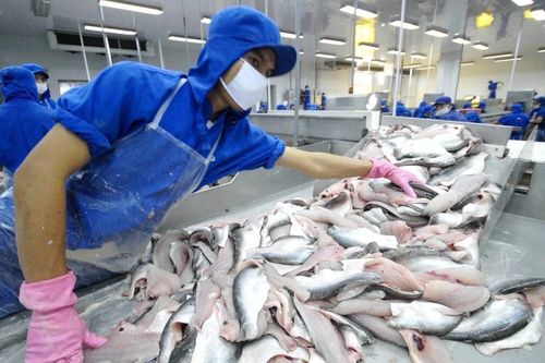 Thủy sản Vĩnh Hoàn (VHC): Doanh thu tháng 4 duy trì trên mức nghìn tỷ, đa dạng hóa thị trường