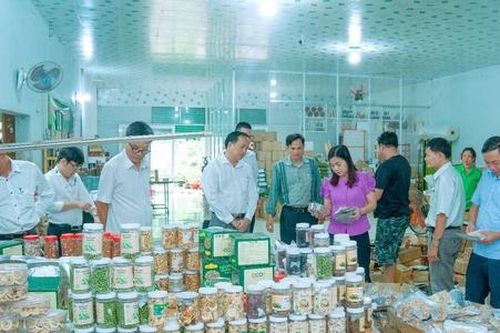 Hành trình bền bỉ xóa đói, giảm nghèo ở Hớn Quản