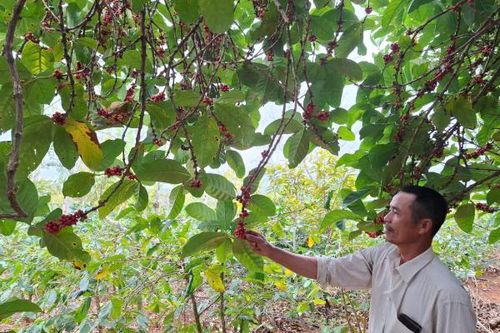 Thắp lửa ở vùng rừng lạnh