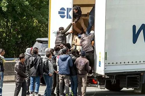 Việt Nam hợp tác với Interpol chống di cư trái phép