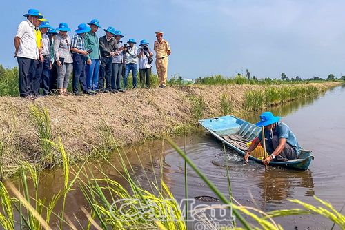 Hướng đi hiệu quả cho người nuôi tôm