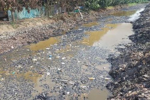 Xử lý công ty đổ hàng ngàn tấn chất thải rắn gây ô nhiễm môi trường